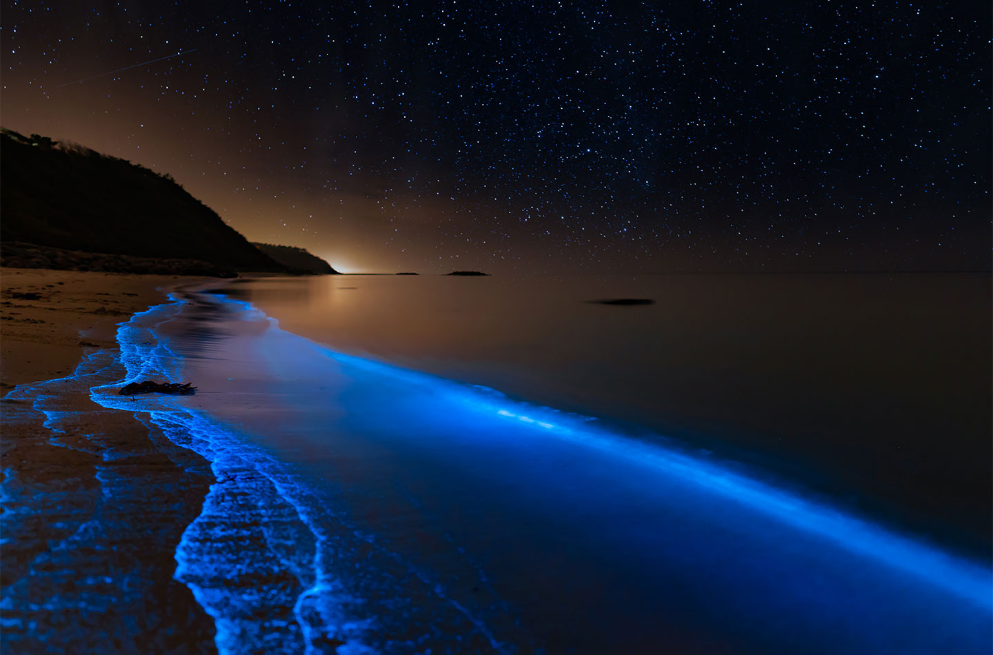 Køb Bioluminescence at the danish coastline av Daniel Faisst