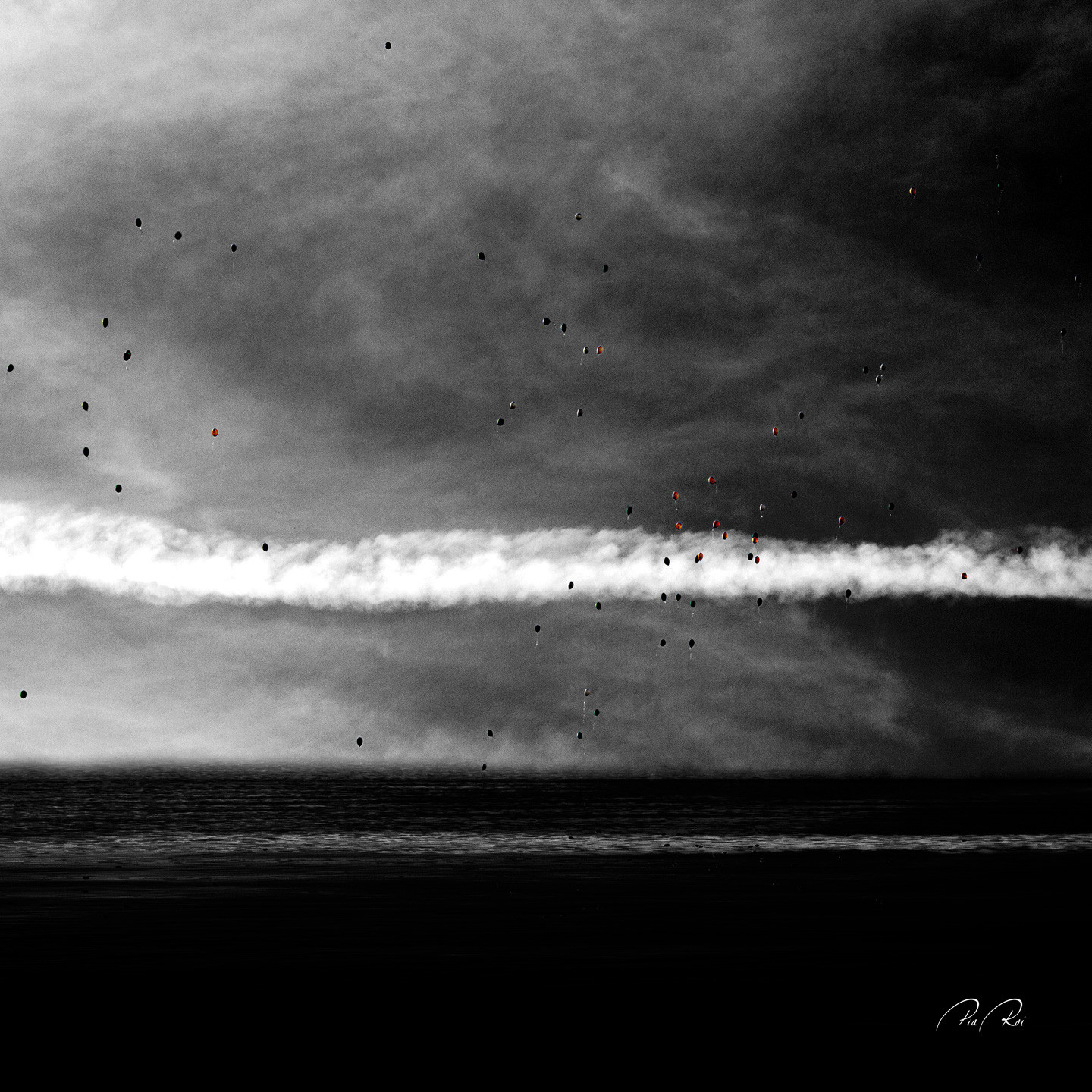 Carried by the wind Illux se