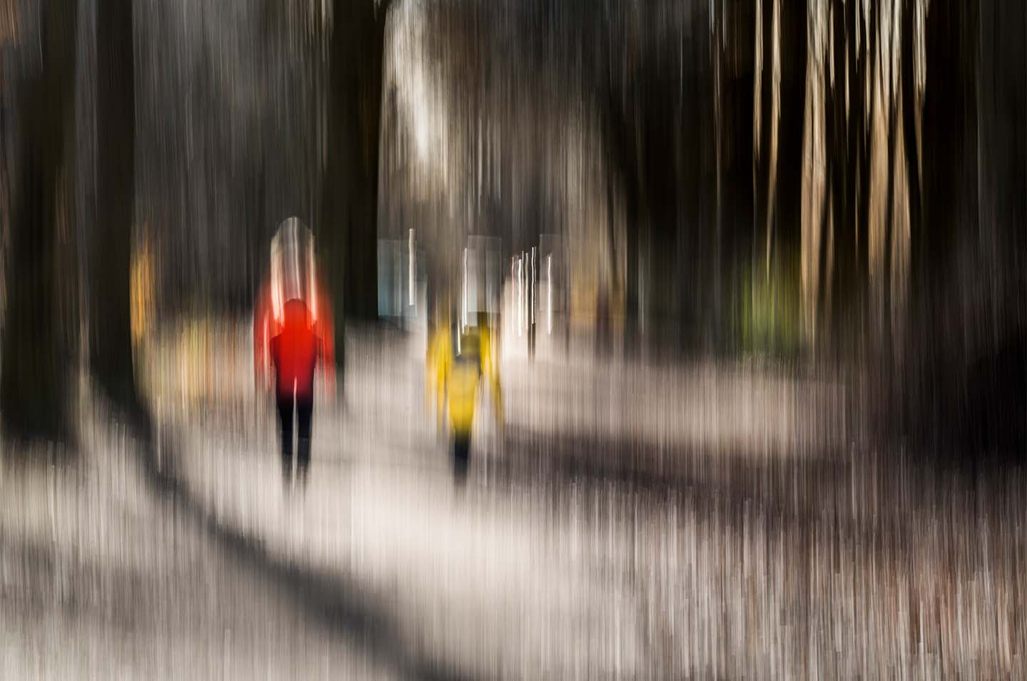 Walk In The Forest av Klint fotografi